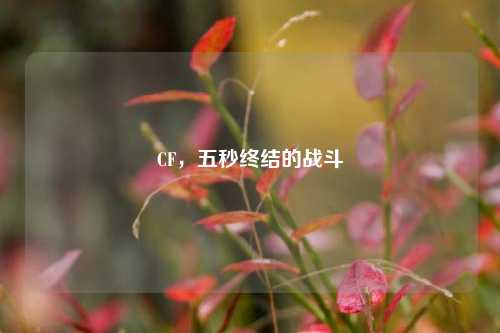 CF，五秒终结的战斗