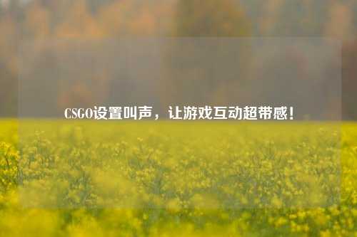 CSGO设置叫声，让游戏互动超带感！