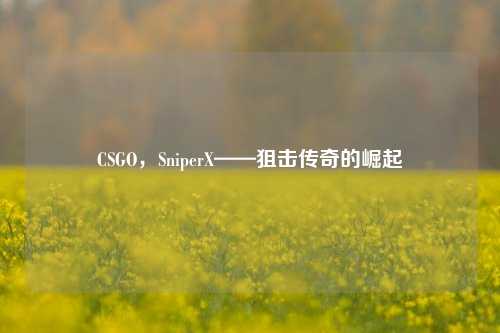 CSGO，SniperX——狙击传奇的崛起
