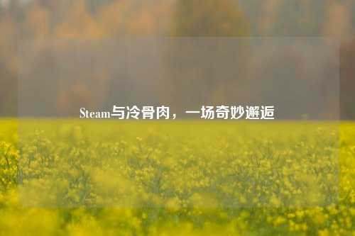 Steam与冷骨肉，一场奇妙邂逅