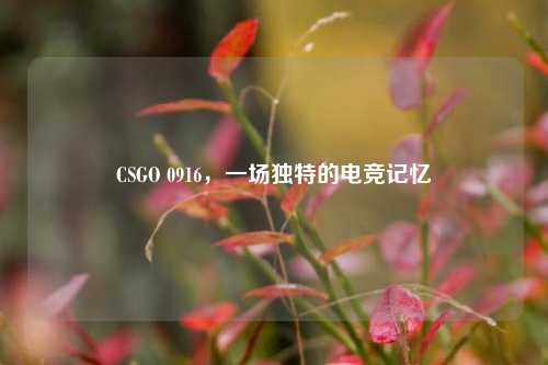 CSGO 0916，一场独特的电竞记忆