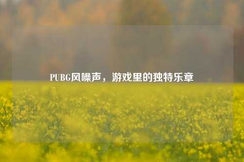 PUBG风噪声，游戏里的独特乐章