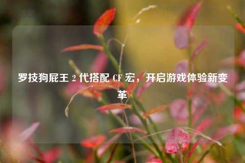 罗技狗屁王 2 代搭配 CF 宏，开启游戏体验新变革