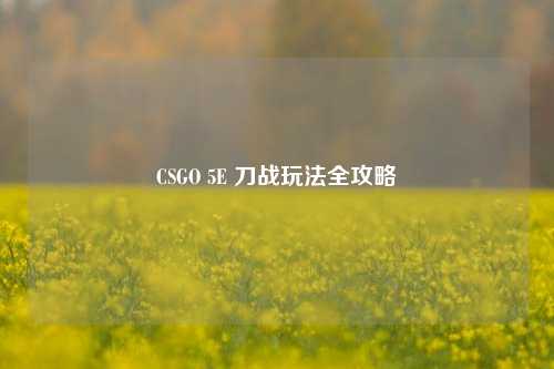 CSGO 5E 刀战玩法全攻略