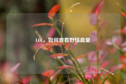 LOL，如何查看野怪血量