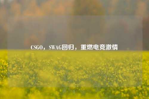 CSGO，SWAG回归，重燃电竞激情