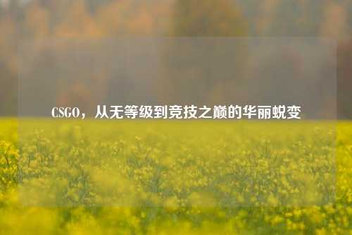 CSGO，从无等级到竞技之巅的华丽蜕变