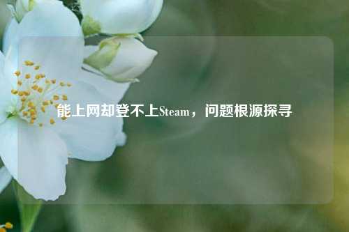 能上网却登不上Steam，问题根源探寻