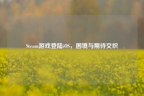 Steam游戏登陆iOS，困境与期待交织
