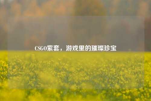 CSGO紫套，游戏里的璀璨珍宝