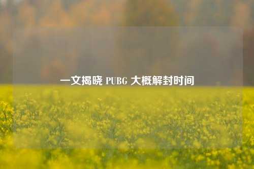 一文揭晓 PUBG 大概解封时间