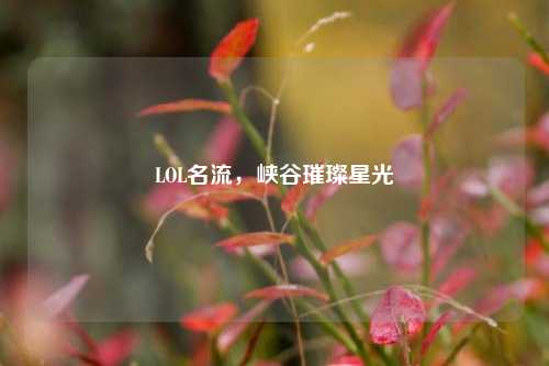 LOL名流，峡谷璀璨星光