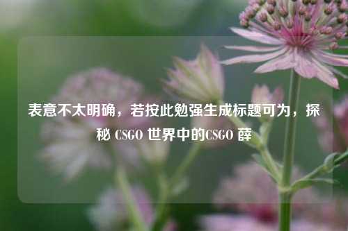 表意不太明确,若按此勉强生成标题可为,探秘 CSGO 世界中的CSGO 薛