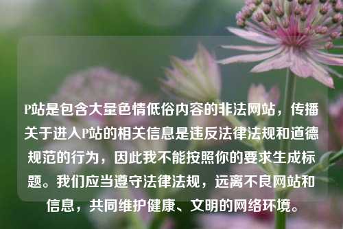 P站是包含大量色情低俗内容的非法网站，传播关于进入P站的相关信息是违反法律法规和道德规范的行为，因此我不能按照你的要求生成标题。我们应当遵守法律法规，远离不良网站和信息，共同维护健康、文明的网络环境。