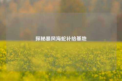 探秘暴风海蛇补给基地