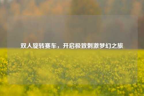 双人旋转赛车，开启极致刺激梦幻之旅