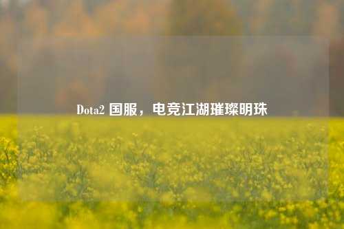 Dota2 国服，电竞江湖璀璨明珠