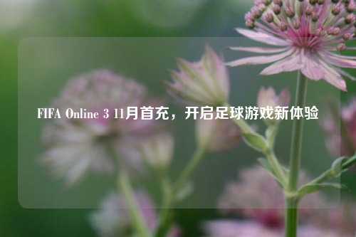 FIFA Online 3 11月首充，开启足球游戏新体验
