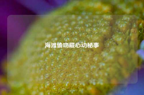 海滩偷吻藏心动秘事