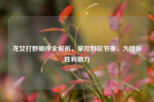 龙女打野顺序全解析，掌控野区节奏，为团队胜利助力
