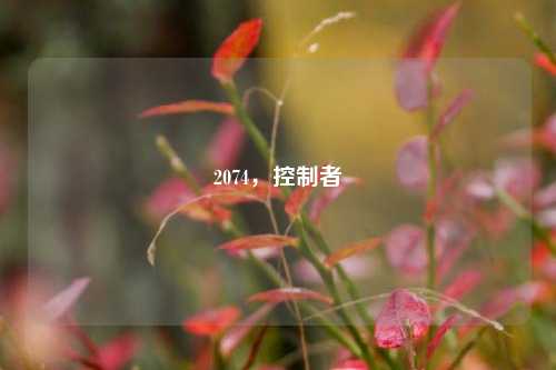 2074，控制者