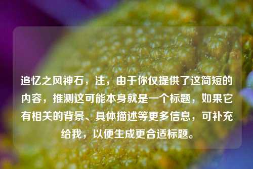 追忆之风神石，注，由于你仅提供了这简短的内容，推测这可能本身就是一个标题，如果它有相关的背景、具体描述等更多信息，可补充给我，以便生成更合适标题。