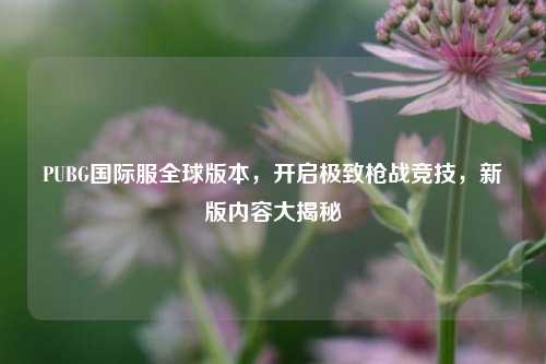 PUBG国际服全球版本，开启极致枪战竞技，新版内容大揭秘