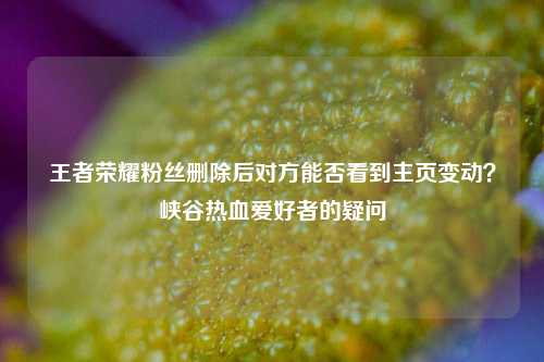 王者荣耀粉丝删除后对方能否看到主页变动？峡谷热血爱好者的疑问