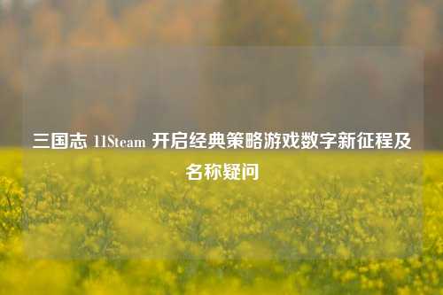 三国志 11Steam 开启经典策略游戏数字新征程及名称疑问