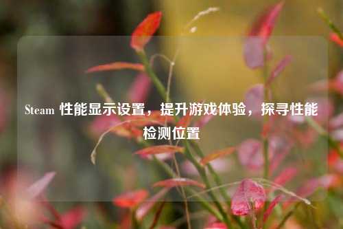 Steam 性能显示设置，提升游戏体验，探寻性能检测位置