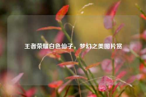 王者荣耀白色仙子，梦幻之美图片赏