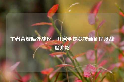 王者荣耀海外战区，开启全球竞技新征程及战区介绍
