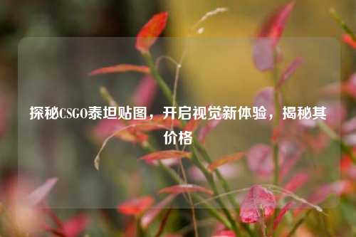 探秘CSGO泰坦贴图，开启视觉新体验，揭秘其价格
