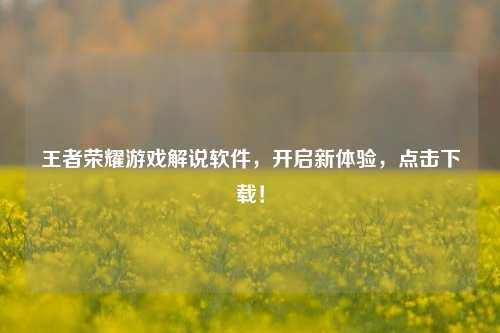 王者荣耀游戏解说软件，开启新体验，点击下载！