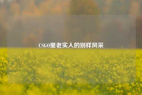 CSGO里老实人的别样风采