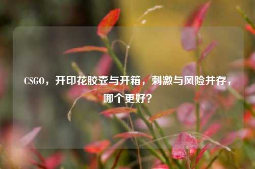 CSGO，开印花胶囊与开箱，刺激与风险并存，哪个更好？