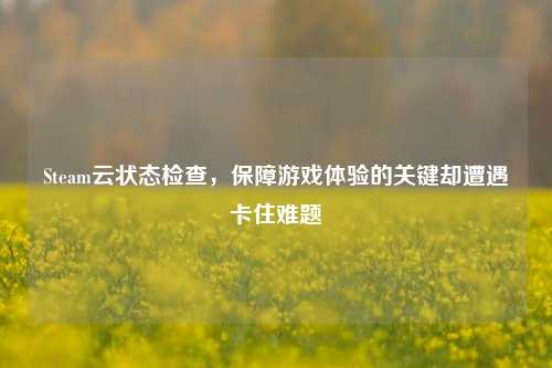 Steam云状态检查，保障游戏体验的关键却遭遇卡住难题