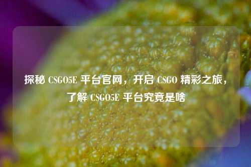 探秘 CSGO5E 平台官网，开启 CSGO 精彩之旅，了解 CSGO5E 平台究竟是啥