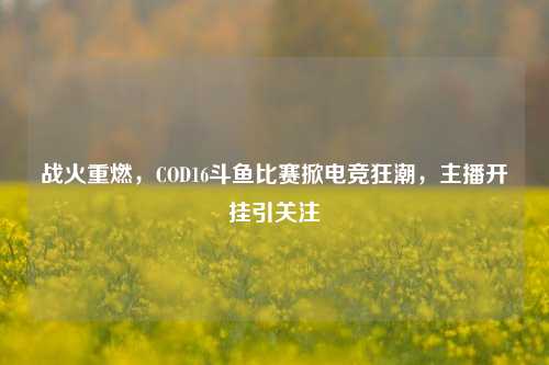 战火重燃，COD16斗鱼比赛掀电竞狂潮，主播开挂引关注