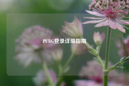 PUBG登录详细指南