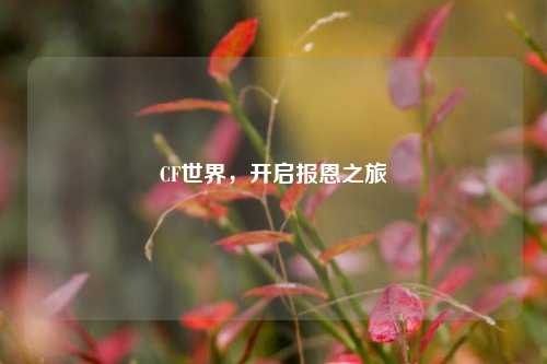 CF世界，开启报恩之旅