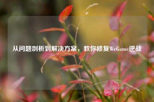 从问题剖析到解决方案，教你修复WeGame逆战