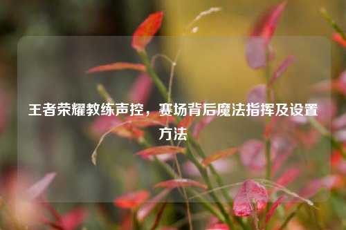 王者荣耀教练声控，赛场背后魔法指挥及设置方法