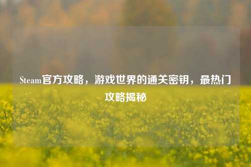 Steam官方攻略，游戏世界的通关密钥，最热门攻略揭秘