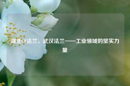 湖北CF法兰，武汉法兰——工业领域的坚实力量