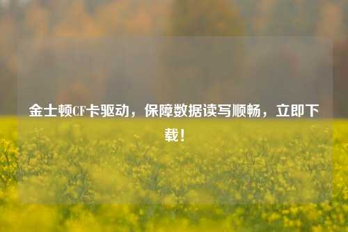 金士顿CF卡驱动，保障数据读写顺畅，立即下载！