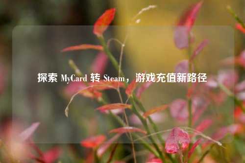 探索 MyCard 转 Steam，游戏充值新路径