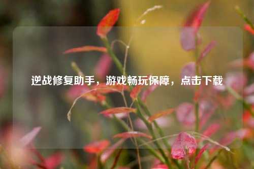 逆战修复助手，游戏畅玩保障，点击下载