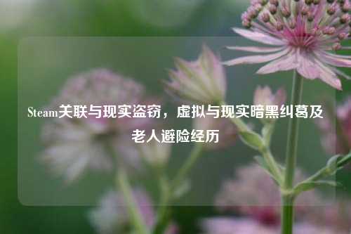 Steam关联与现实盗窃，虚拟与现实暗黑纠葛及老人避险经历