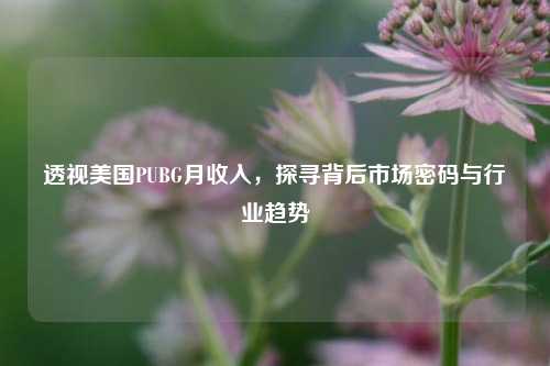 透视美国PUBG月收入，探寻背后市场密码与行业趋势